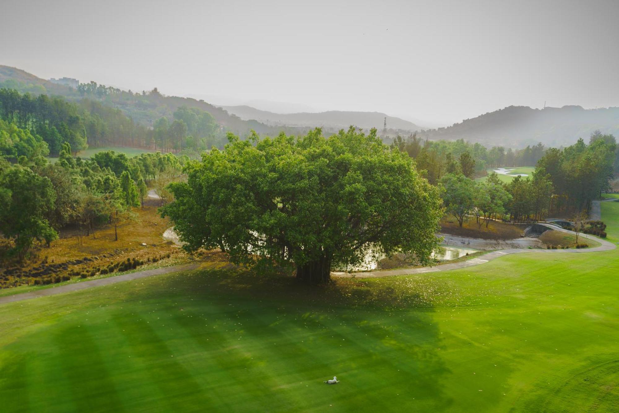 Oxford Golf Resort Pirangut Zewnętrze zdjęcie